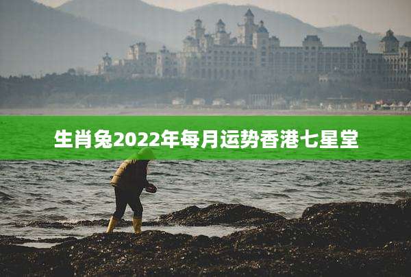 生肖兔2022年每月运势香港七星堂