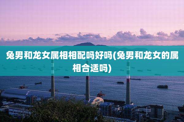 兔男和龙女属相相配吗好吗(兔男和龙女的属相合适吗)