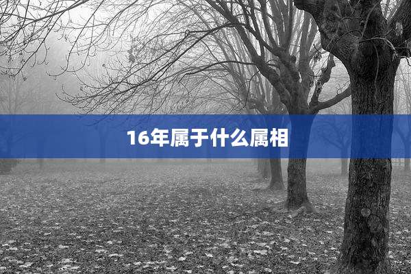 16年属于什么属相