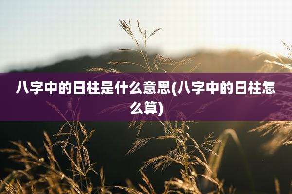 八字中的日柱是什么意思(八字中的日柱怎么算)