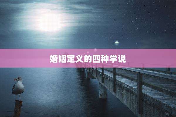婚姻定义的四种学说
