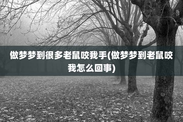 做梦梦到很多老鼠咬我手(做梦梦到老鼠咬我怎么回事)