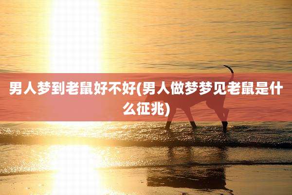 男人梦到老鼠好不好(男人做梦梦见老鼠是什么征兆)