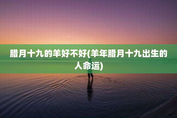 腊月十九的羊好不好(羊年腊月十九出生的人命运)