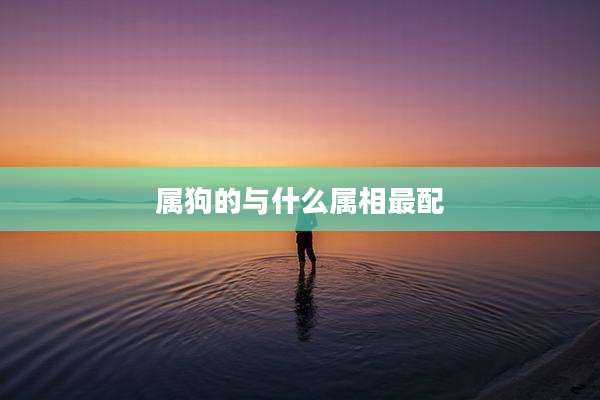属狗的与什么属相最配