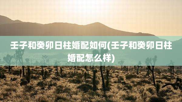 壬子和癸卯日柱婚配如何(壬子和癸卯日柱婚配怎么样)