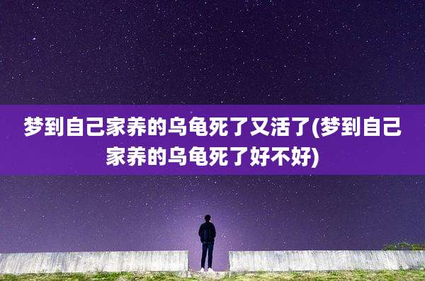 梦到自己家养的乌龟死了又活了(梦到自己家养的乌龟死了好不好)