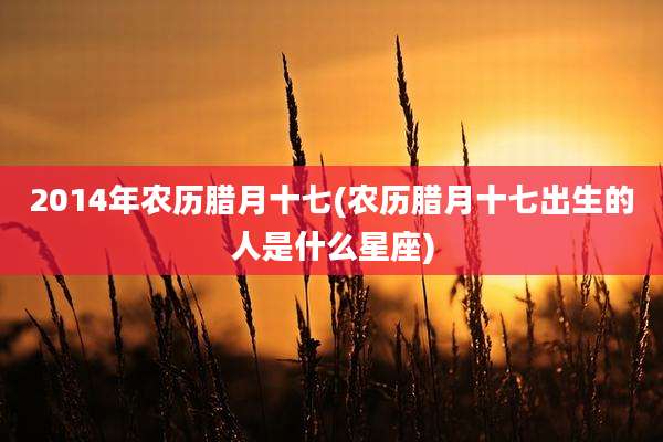 2014年农历腊月十七(农历腊月十七出生的人是什么星座)