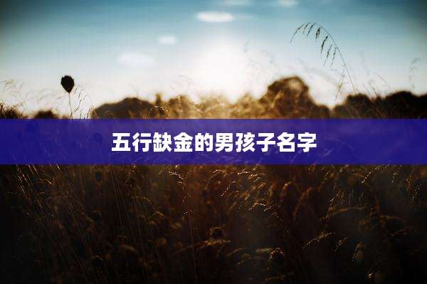 五行缺金的男孩子名字
