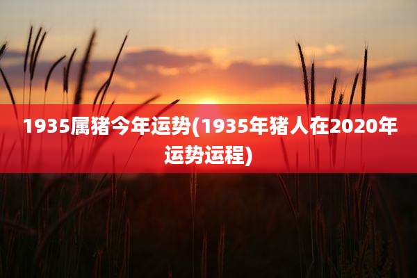 1935属猪今年运势(1935年猪人在2020年运势运程)