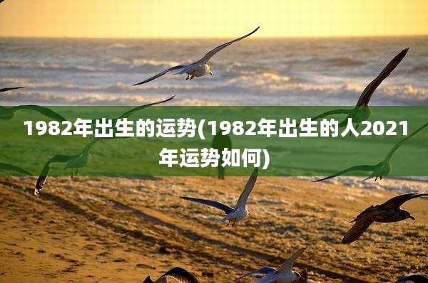 1982年出生的运势(1982年出生的人2021年运势如何)