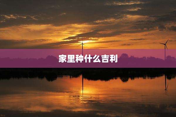 家里种什么吉利