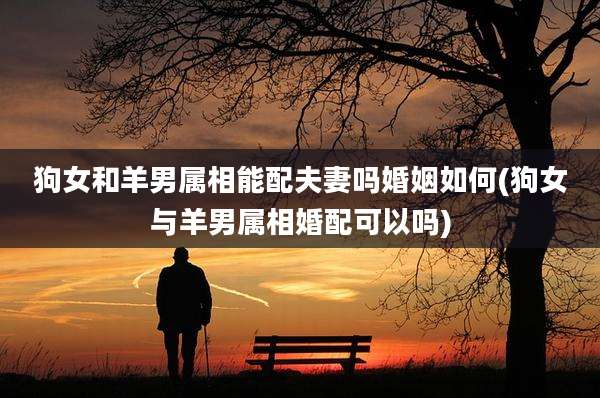 狗女和羊男属相能配夫妻吗婚姻如何(狗女与羊男属相婚配可以吗)