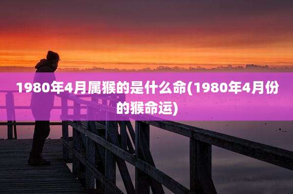 1980年4月属猴的是什么命(1980年4月份的猴命运)