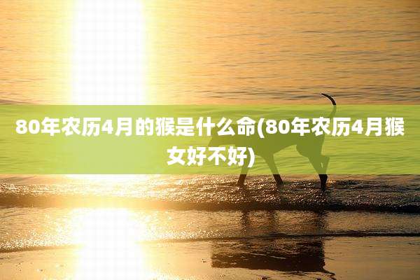 80年农历4月的猴是什么命(80年农历4月猴女好不好)