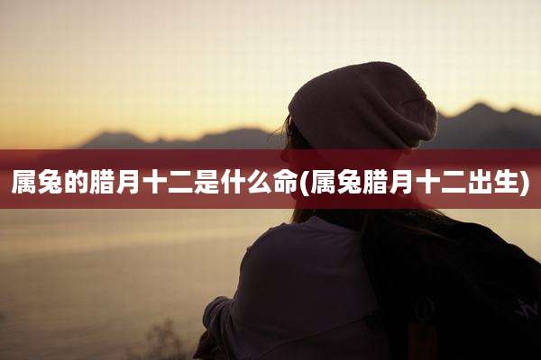 属兔的腊月十二是什么命(属兔腊月十二出生)