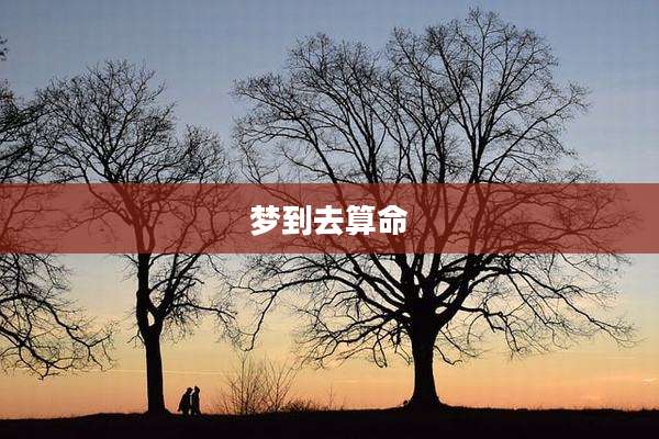 梦到去算命