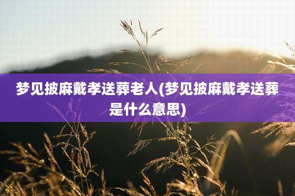 梦见披麻戴孝送葬老人(梦见披麻戴孝送葬是什么意思)