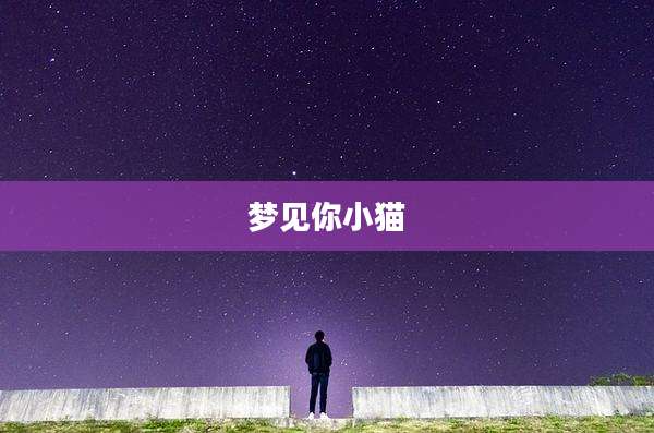 梦见你小猫