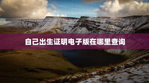 自己出生证明电子版在哪里查询