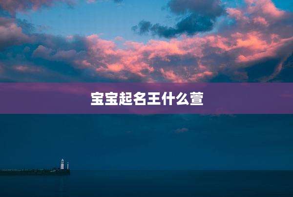 宝宝起名王什么萱