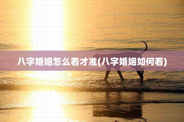 八字婚姻怎么看才准(八字婚姻如何看)