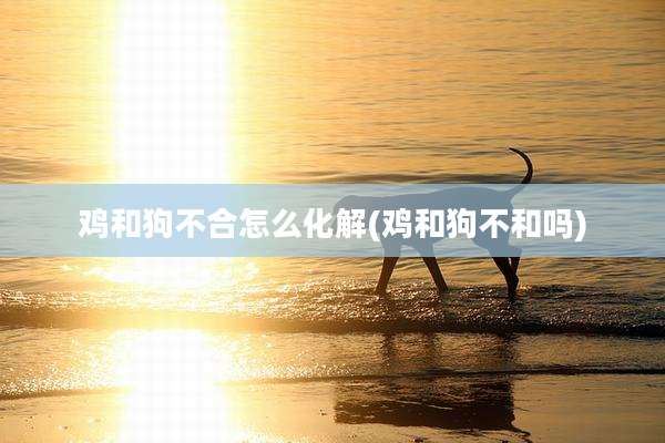 鸡和狗不合怎么化解(鸡和狗不和吗)