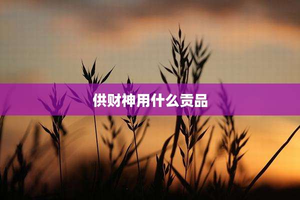 供财神用什么贡品
