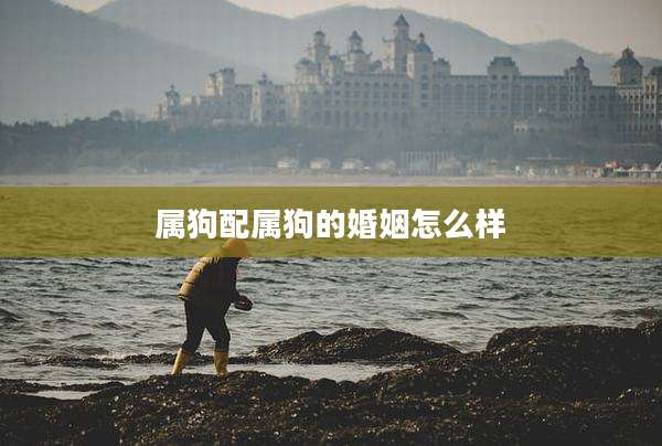 属狗配属狗的婚姻怎么样