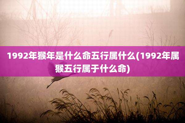 1992年猴年是什么命五行属什么(1992年属猴五行属于什么命)