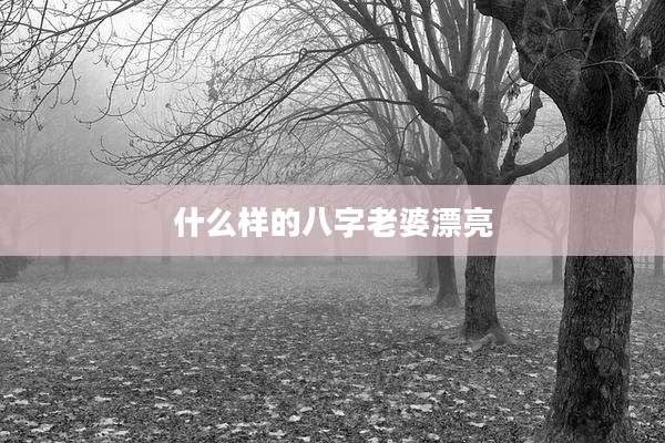 什么样的八字老婆漂亮