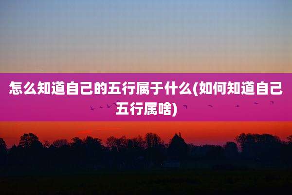 怎么知道自己的五行属于什么(如何知道自己五行属啥)