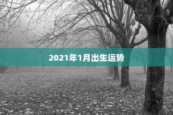 2021年1月出生运势