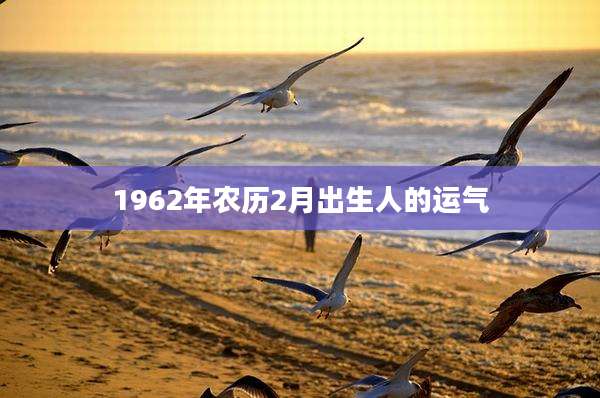 1962年农历2月出生人的运气