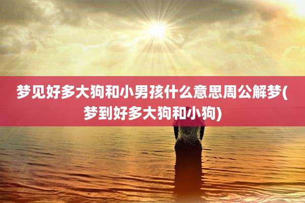 梦见好多大狗和小男孩什么意思周公解梦(梦到好多大狗和小狗)
