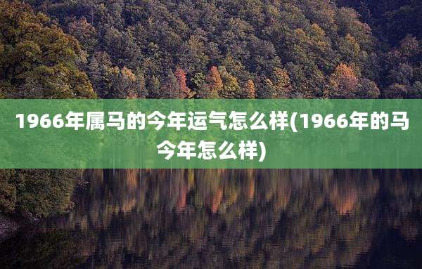1966年属马的今年运气怎么样(1966年的马今年怎么样)