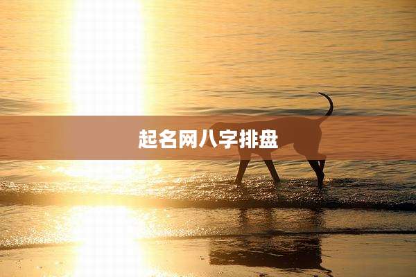 起名网八字排盘