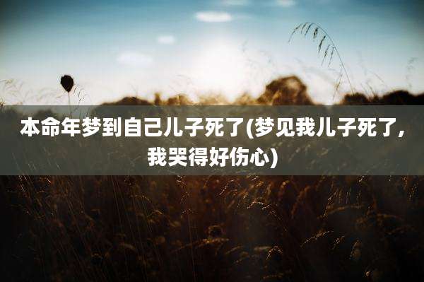 本命年梦到自己儿子死了(梦见我儿子死了,我哭得好伤心)