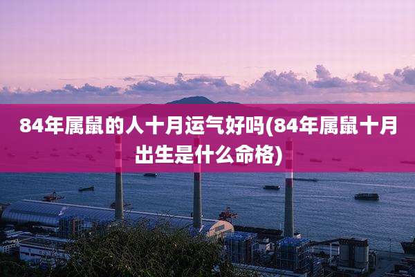 84年属鼠的人十月运气好吗(84年属鼠十月出生是什么命格)