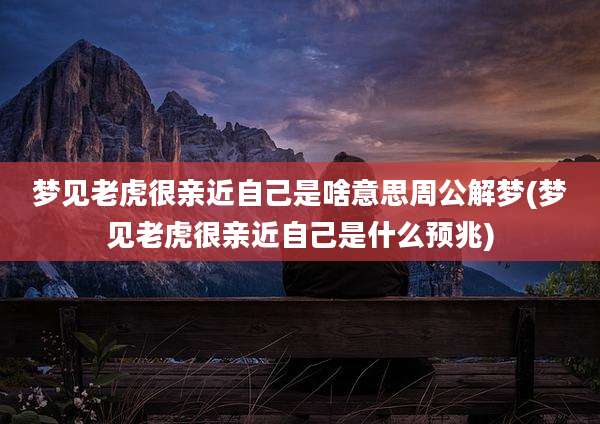 梦见老虎很亲近自己是啥意思周公解梦(梦见老虎很亲近自己是什么预兆)