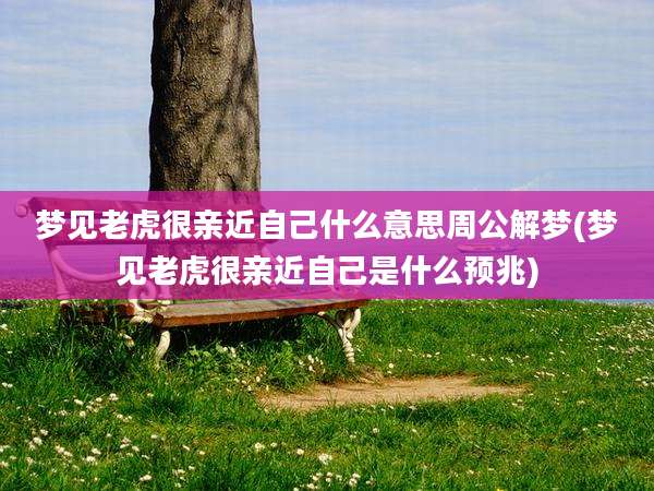 梦见老虎很亲近自己什么意思周公解梦(梦见老虎很亲近自己是什么预兆)