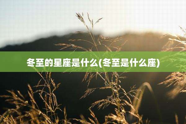 冬至的星座是什么(冬至是什么座)
