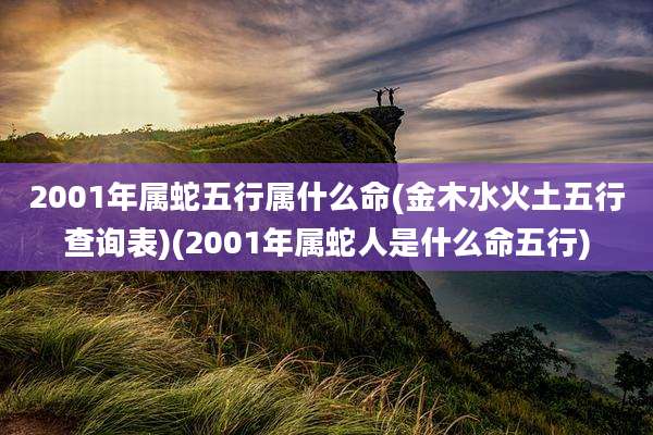 2001年属蛇五行属什么命(金木水火土五行查询表)(2001年属蛇人是什么命五行)