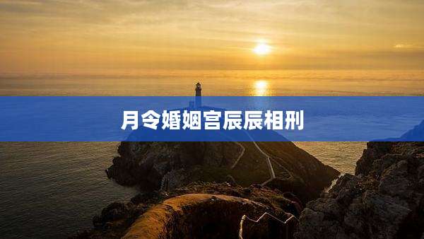 月令婚姻宫辰辰相刑