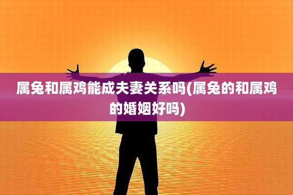 属兔和属鸡能成夫妻关系吗(属兔的和属鸡的婚姻好吗)