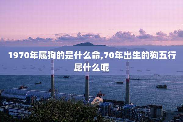 1970年属狗的是什么命,70年出生的狗五行属什么呢