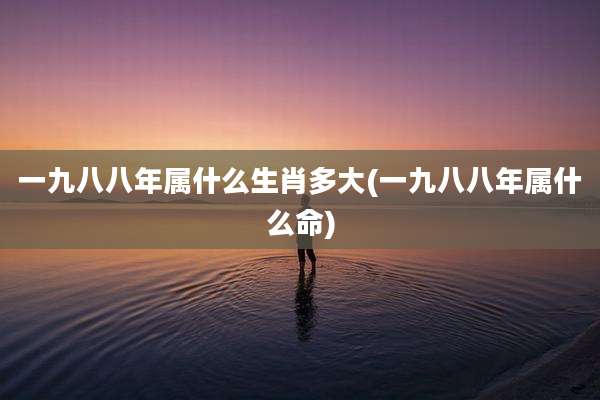 一九八八年属什么生肖多大(一九八八年属什么命)