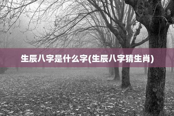 生辰八字是什么字(生辰八字猜生肖)