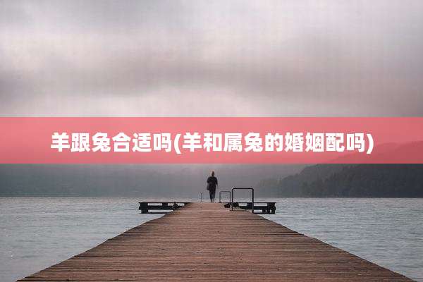 羊跟兔合适吗(羊和属兔的婚姻配吗)
