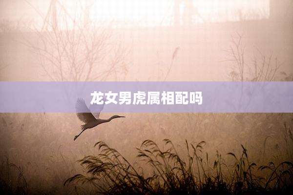 龙女男虎属相配吗